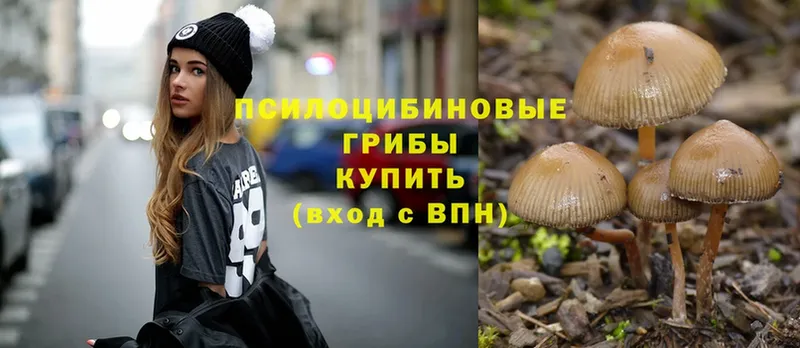 Псилоцибиновые грибы Magic Shrooms  закладка  Котельнич 